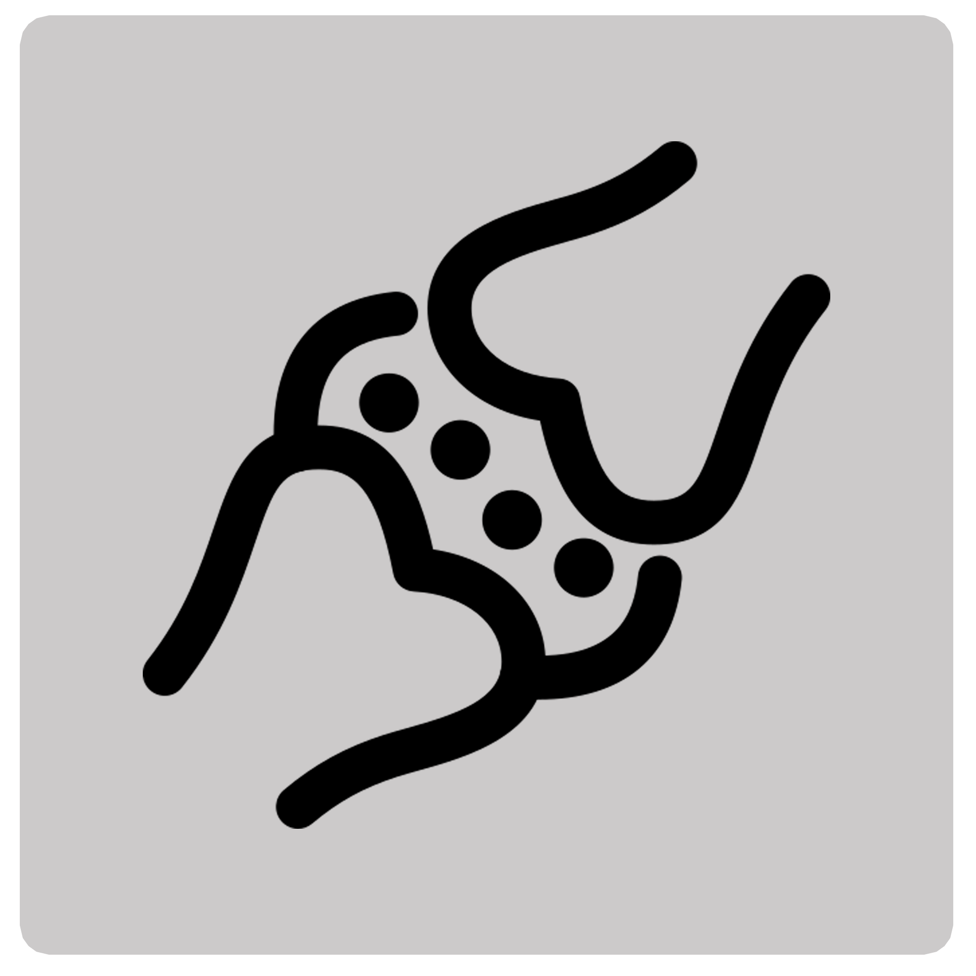 Cartilage Repair
